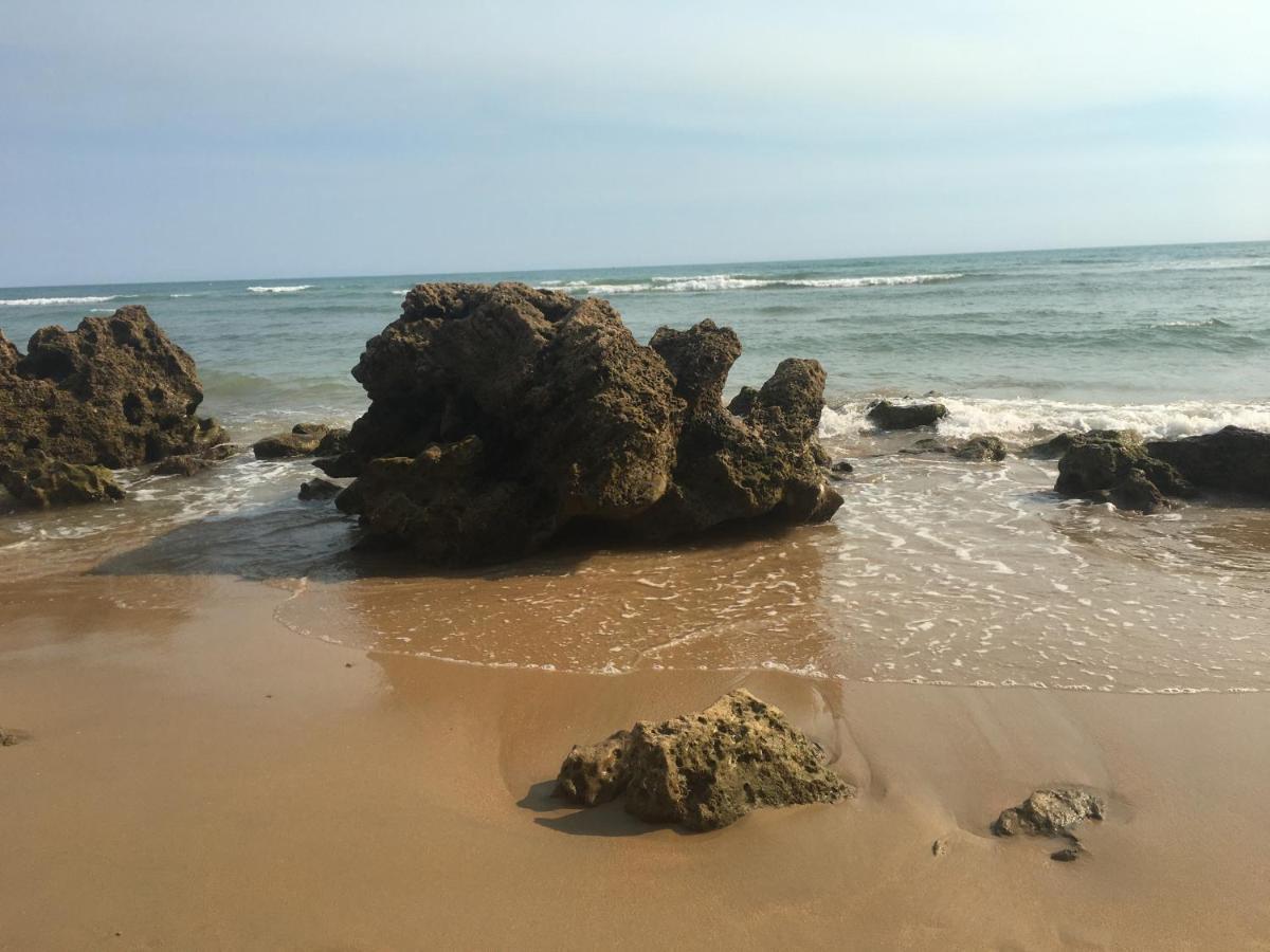 Villa Anyway Conil Un Lujo Frente Al Mar 科尼尔-德拉弗龙特拉 外观 照片