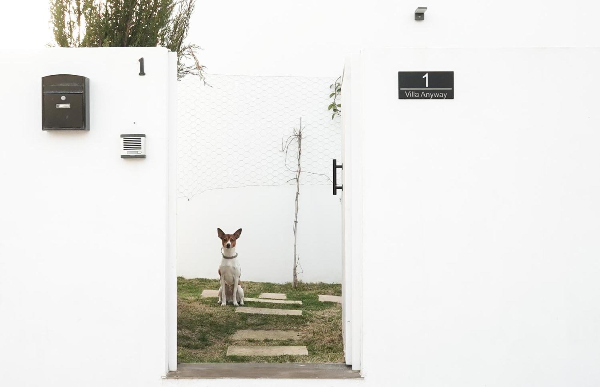 Villa Anyway Conil Un Lujo Frente Al Mar 科尼尔-德拉弗龙特拉 外观 照片